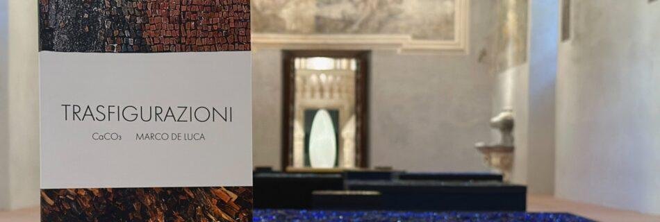 Trasfigurazioni. Una mostra e un risarcimento fatto di bellezza . cover
